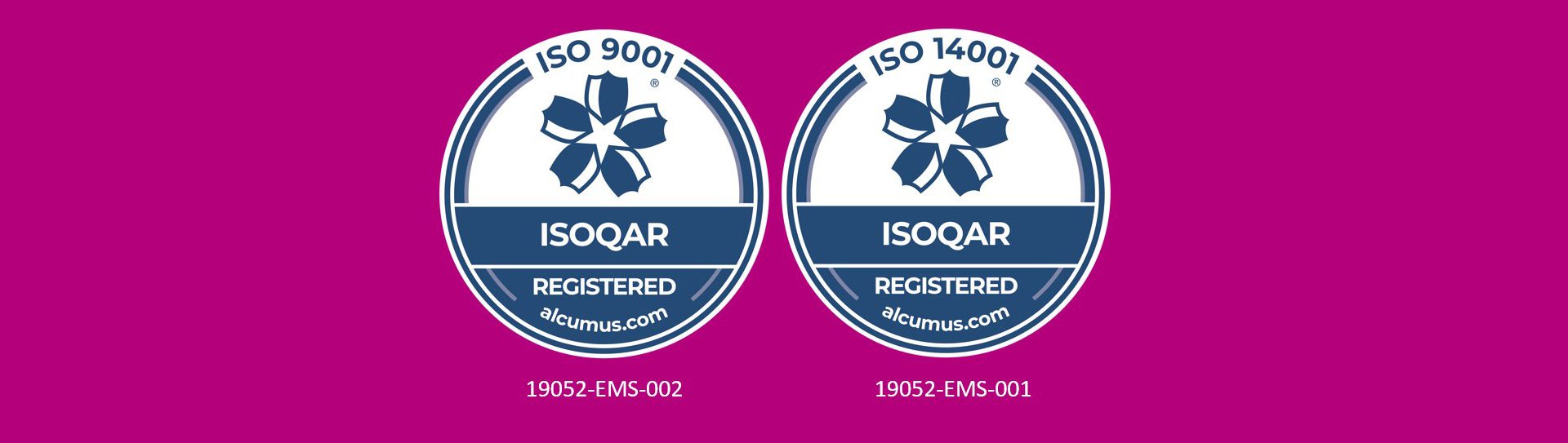 Twin ISO Logos